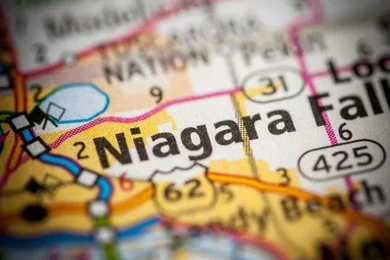 Niagara Falls Pest Control